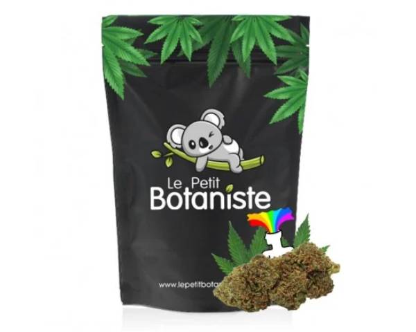 Fleur CBD puissante Amnesia CSA 14