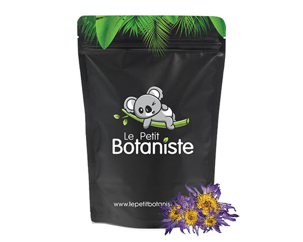 fleur de lotus bleu hallucinogene effets