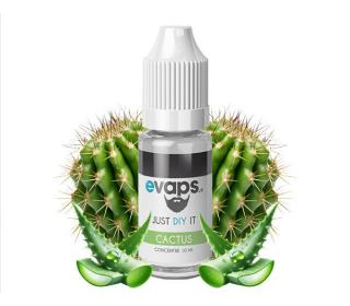 e liquide diy cactus