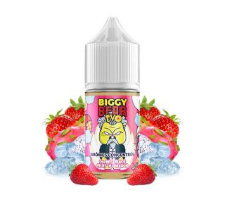 concentré sorbet fraise fruit du dragon biggy bear evo